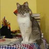 Отзыв от Зинаида Ананьева